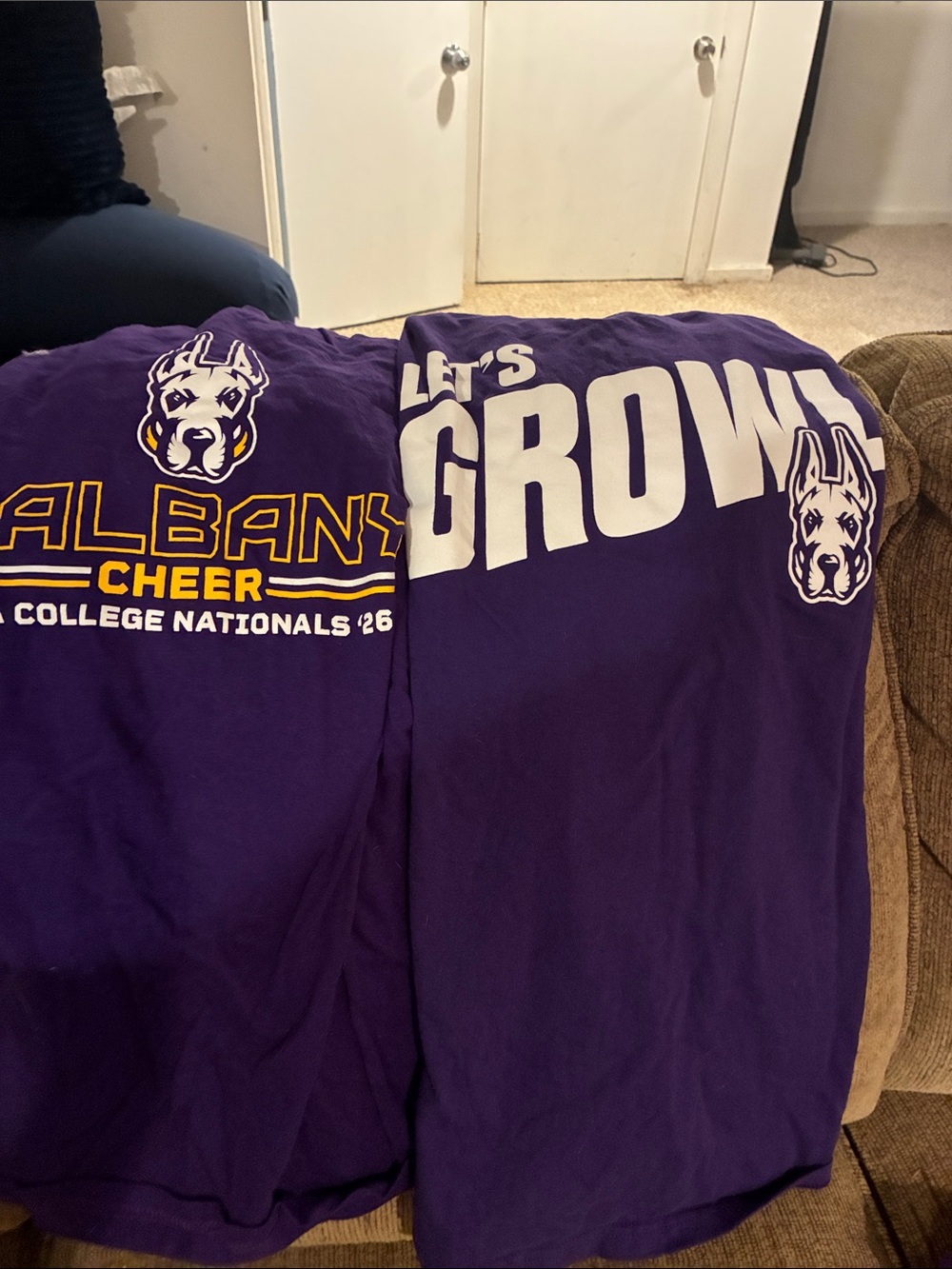 Lot of 2 UAlbany tshirts size medium